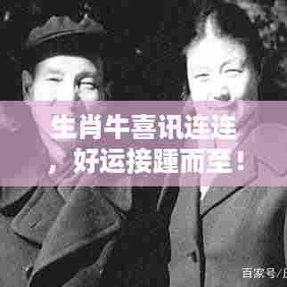 生肖牛喜讯连连,好运接踵而至!