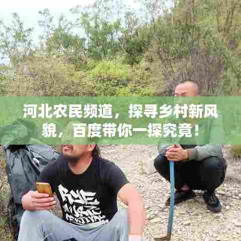 河北农民频道,探寻乡村新风貌,百度带你一探究竟!