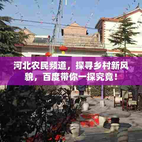 河北农民频道,探寻乡村新风貌,百度带你一探究竟!