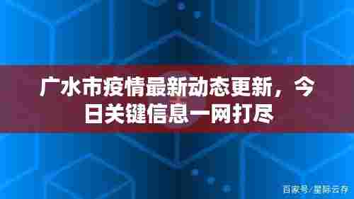 广水市疫情最新动态更新,今日关键信息一网打尽