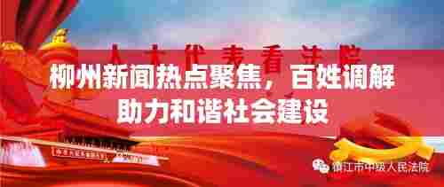 柳州新闻热点聚焦，百姓调解助力和谐社会建设