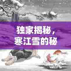 独家揭秘，寒江雪的秘密世界