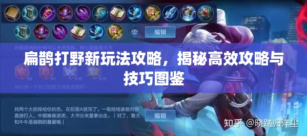 扁鹊打野新玩法攻略,揭秘高效攻略与技巧图鉴