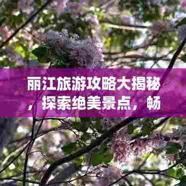 丽江旅游攻略大揭秘,探索绝美景点,畅游浪漫之都!