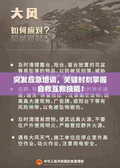 突发应急培训，关键时刻掌握自救互救技能！