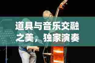 道具与音乐交融之美,独家演奏歌曲的音乐之旅