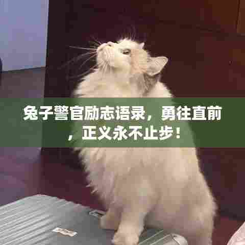 兔子警官励志语录,勇往直前,正义永不止步!