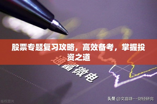 股票专题复习攻略,高效备考,掌握投资之道