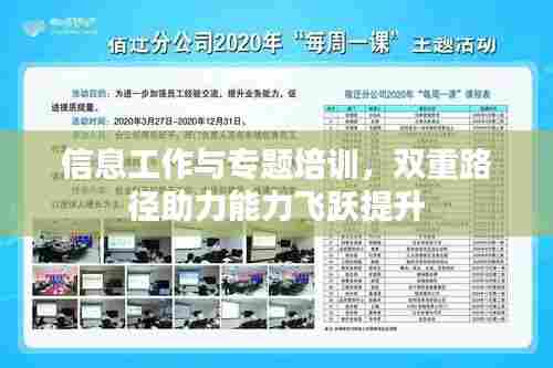 信息工作与专题培训,双重路径助力能力飞跃提升