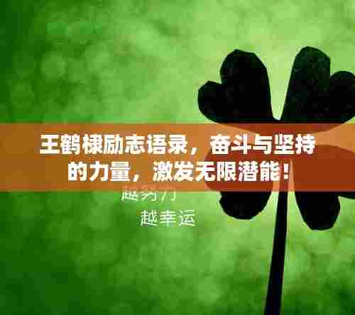 王鹤棣励志语录,奋斗与坚持的力量,激发无限潜能!