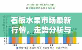 石板水果市场最新行情,走势分析与影响因素探讨