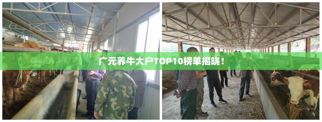 广元养牛大户TOP10榜单揭晓!