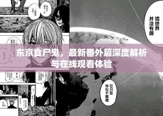东京食尸鬼，最新番外篇深度解析与在线观看体验