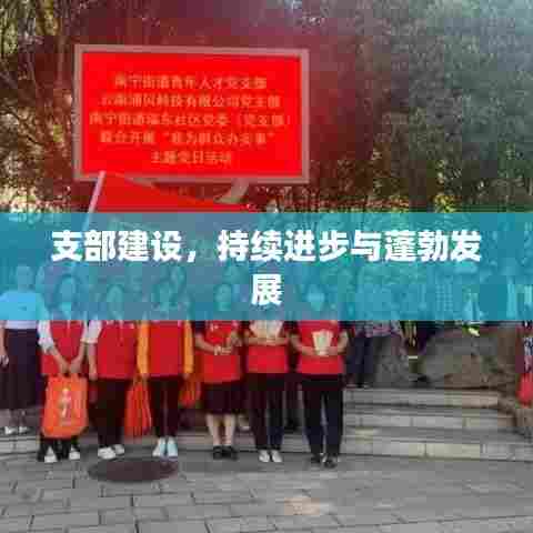 支部建设,持续进步与蓬勃发展