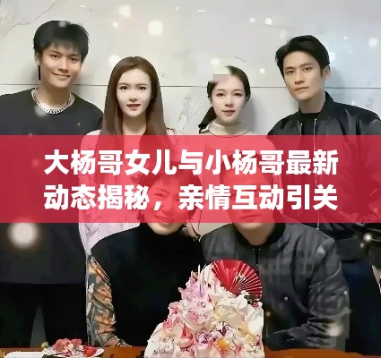 大杨哥女儿与小杨哥最新动态揭秘,亲情互动引关注