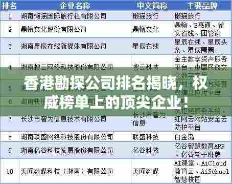香港勘探公司排名揭晓,权威榜单上的顶尖企业!