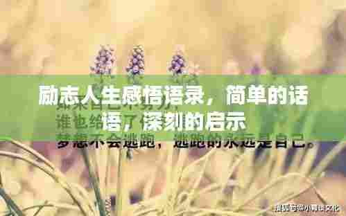 励志人生感悟语录,简单的话语,深刻的启示