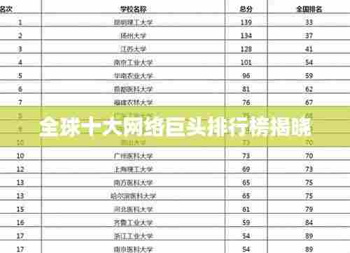 全球十大网络巨头排行榜揭晓