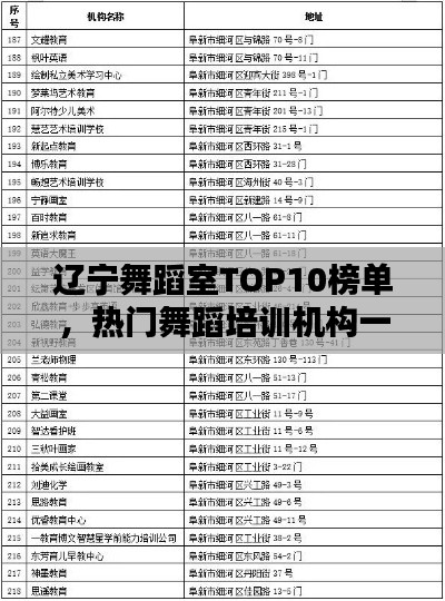 辽宁舞蹈室TOP10榜单,热门舞蹈培训机构一览
