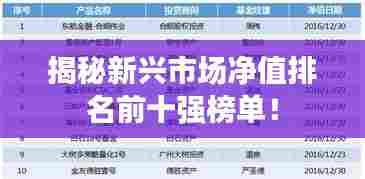 揭秘新兴市场净值排名前十强榜单!