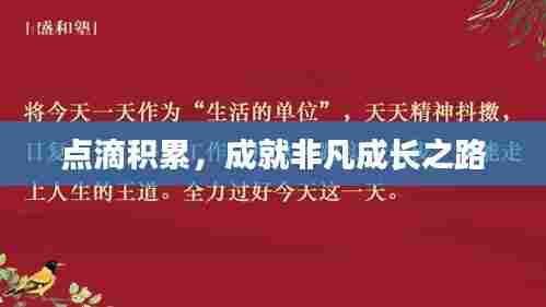 点滴积累,成就非凡成长之路