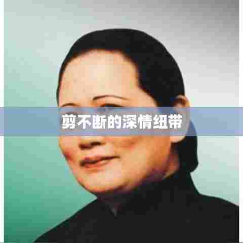 剪不断的深情纽带