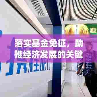 落实基金免征,助推经济发展的关键之策