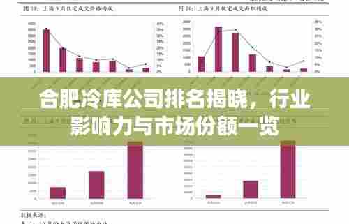 合肥冷库公司排名揭晓,行业影响力与市场份额一览