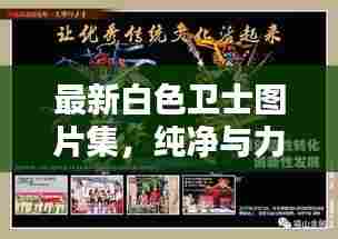 最新白色卫士图片集,纯净与力量的视觉盛宴