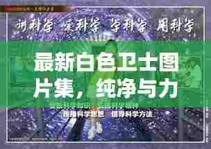 最新白色卫士图片集,纯净与力量的视觉盛宴