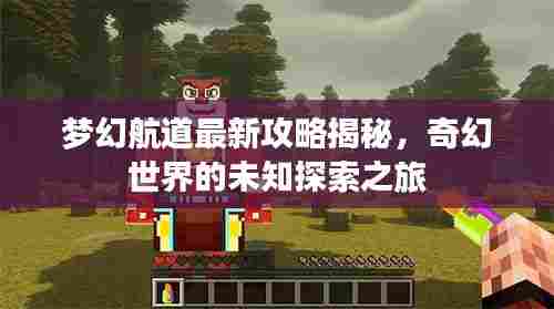 梦幻航道最新攻略揭秘,奇幻世界的未知探索之旅