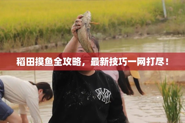 稻田摸鱼全攻略,最新技巧一网打尽!
