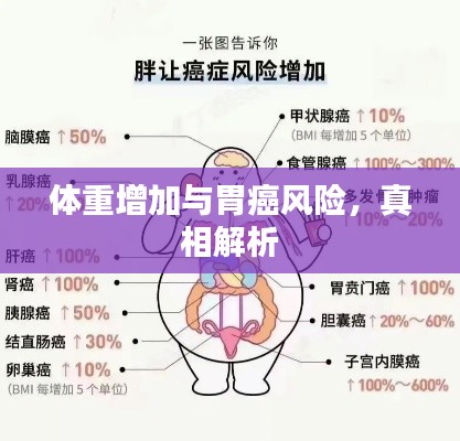 体重增加与胃癌风险,真相解析