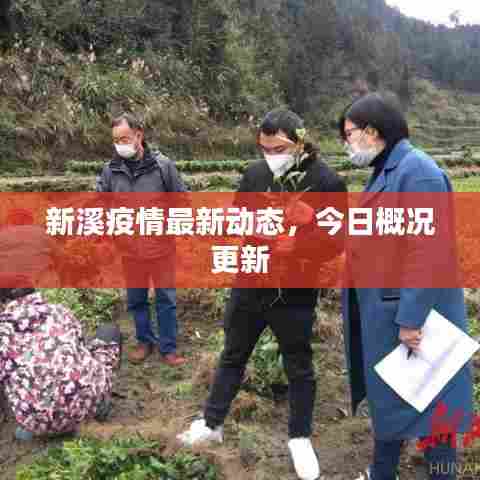 新溪疫情最新动态,今日概况更新