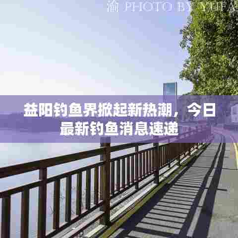 益阳钓鱼界掀起新热潮,今日最新钓鱼消息速递