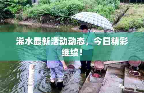 浠水最新活动动态,今日精彩继续!