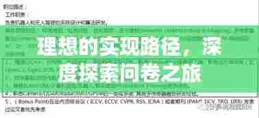 理想的实现路径,深度探索问卷之旅