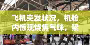 飞机突发状况，机舱内惊现烧焦气味，紧急应对时刻！