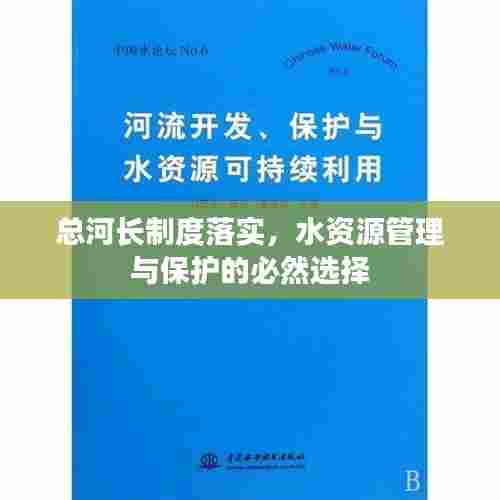 总河长制度落实，水资源管理与保护的必然选择