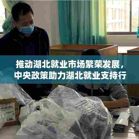 推动湖北就业市场繁荣发展，中央政策助力湖北就业支持行动