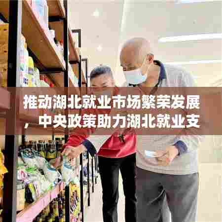 推动湖北就业市场繁荣发展,中央政策助力湖北就业支持行动