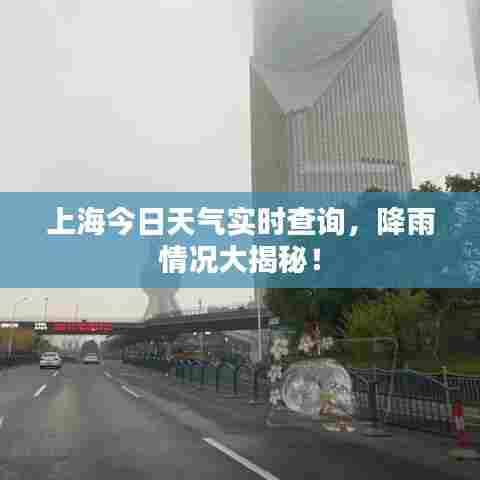 上海今日天气实时查询,降雨情况大揭秘!