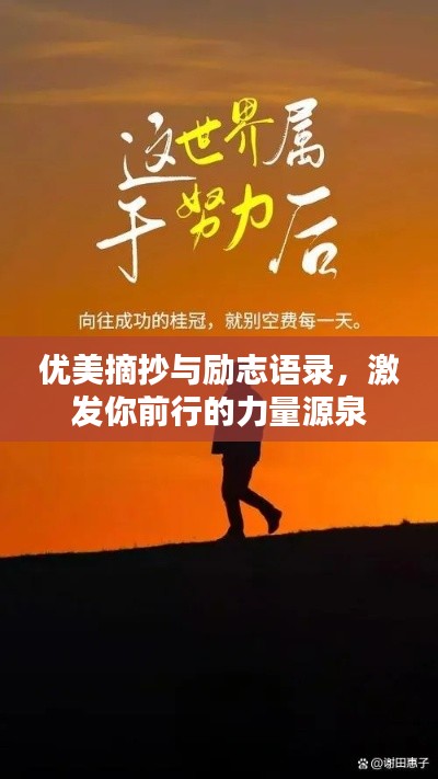 优美摘抄与励志语录,激发你前行的力量源泉