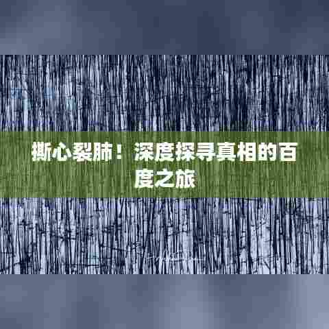 撕心裂肺!深度探寻真相的百度之旅