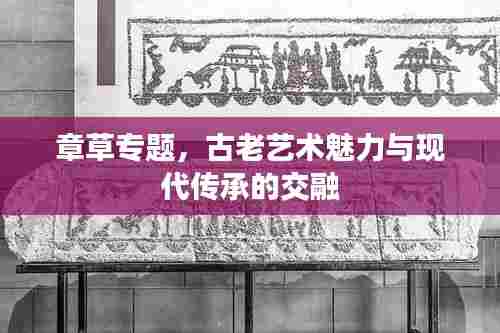 章草专题，古老艺术魅力与现代传承的交融