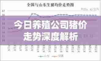 今日养殖公司猪价走势深度解析
