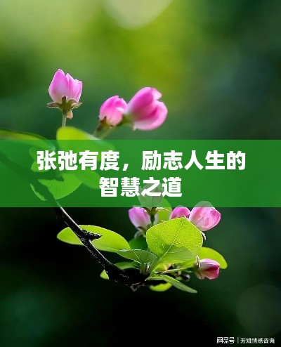 张弛有度,励志人生的智慧之道