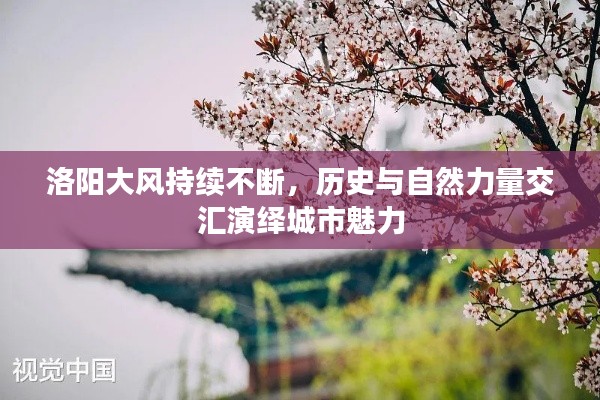 洛阳大风持续不断,历史与自然力量交汇演绎城市魅力