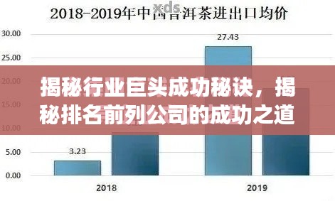 揭秘行业巨头成功秘诀,揭秘排名前列公司的成功之道