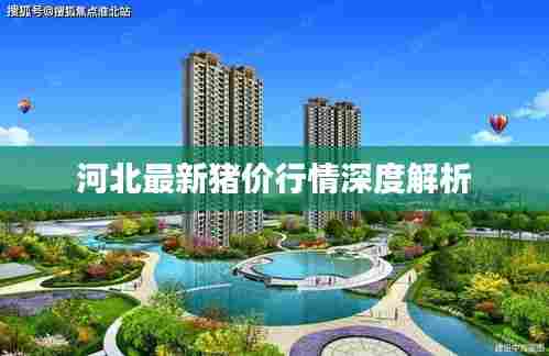 河北最新猪价行情深度解析